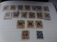 Delcampe - Superb Poland Colln In Schaubek 1915-1950s,+ Hagners,covers. 1930s M/sheets, Mint/used. Danzig Etc - Collections