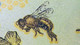 Delcampe - Poland - PWPW 012 Honey Bee Polymer Specimen Test Note 2012 Fds / Unc - Fictifs & Spécimens