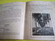 Delcampe - Fascicule/Sylviculture/Petit Manuel Du Planteur De Peupliers/ Grandes Pépinières De Pontvallain/Sarthe/1935   LIV124 - Jardinage