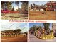 (851) Australia - NT  - Festival Of Central Australia - (Henley And Camel Race - Bangtail Muster Etc) - Alice Springs