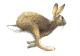 [MD1188] CPM - CONIGLIO - RABBBIT - WILLI GLASAUER - LIEGENDER HASE - Non Viaggiata - Altri & Non Classificati