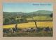 Israel Old Postcards  Bethlehem Shepherd's Field Places Of The Bible - Israel