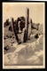 SNOWED CACTUS CACTI CHILE  ANDES MOUNTAINS Vintage Original Ca1900 POSTCARD CPA AK (W4_3398) - Cactus