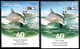 Delcampe - PORTUGAL 2017 - Joint Issue With Israel - 40 Years Of Friendship - Dolphin Research - MNH Stamps W/tabs & Souvenir Leaf - Dauphins