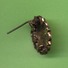 Delcampe - ANCIENNE BROCHE EN POMPONNE -  Diametre 22mm -  6 Scans - Brooches