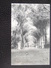 Singapore 8 Entrance Botanical Garden 1913 With Stamp - Singapore