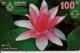 CARTE-HOLOGRAPHIQUE-100Baht-FLEUR LOTUS-TBE-RARE - Fleurs