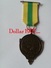 Medaille :Netherlands  -  45 Jaar Wandelsportvereniging De Ploeg Zelhem - Walking Club Zelhem - Autres & Non Classés