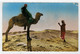 C.P.  PICCOLA    COLLECTION ARTISTIQUE "L' AFRIQUE"  DANS  LE  GRAND  DESERT     2 SCAN    (SCRITTA) - Non Classés