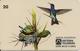CARTE-MAGNETIQUE-BRESIL-3/97-OISEAU MOUCHE-TBE - Songbirds & Tree Dwellers