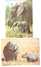 Mosambik - Mocambique - 2 Cards - African Fauna - Elephant - Rinoceronte - Nice Stamps - Mosambik