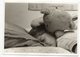 Photographe  Mary Ann Parkinson---Enfant Et Nounours (ours En Peluche) Cpm éd Nouvelles Images - Autres & Non Classés