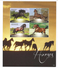 2015 Ghana Horses  Complete Set Of 4 Sheets  MNH  BELOW FACE VALUE - Ghana (1957-...)