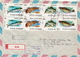 Postal History Cover: Romania Cover With Fishes Sets - Peces