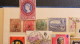 Delcampe - WORLD LARGE COLLECTION WITH OVER 11600 STAMPS - Collections (en Albums)