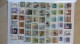 Delcampe - AMAZING CANADA COLLECTION: 0VER 2000 DIFFERENT - Collections
