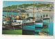 1981 Falmouth GB International FISHERIES EXHIBITION EVENT COVER (card)  FISHING Fish Stamps Fdc Postcard Newlyn - Fishes