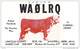 Amateur Radio QSL - AA0LRQ / WA0LRQ - Maxwell, NE -USA- 1976 - 2 Scans - Radio Amateur