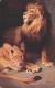 Lot De 3 CPA : Lion Tigre - Lions Tigres - Tiger - Illustrations Par Tade STYKA - Lions