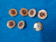 Lot De Boutons De Grand Couturier ??? Diametre 2cm - Buttons