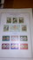 Delcampe - Smom 1966/1988 Stamps Collection In Album Scott.Nuovi See Scans - Sovrano Militare Ordine Di Malta