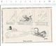 2 Scans Humour Aquarium Océanographique Anguille Poisson-chat Souris Animal  198PF30 - Unclassified