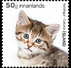 IJsland / Iceland - Postfris / MNH - Complete Set Jonge Dieren 2017 - Ungebraucht