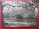 Bruxelles :Chalet Robinson Au Bois De La Cambre (B107) - Forêts, Parcs, Jardins
