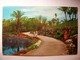 Carte Postale Etats Unis Cape Coral ,Florida (Petit Format Couleur Circulée 1969 ) - Fort Myers