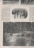 Delcampe - L'ILLUSTRATION 15 6 1907 - PHOTOGRAPHIE EN COULEURS - MONTPELLIER - ASSAUT AU PISTOLET - ANARCHISTES ESPAGNE - ARQUIAN - L'Illustration