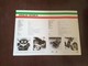 3) Laverda GS 125 Lesmo 1986 Depliant Originale Moto - Genuine Brochure - Motorrad Originalprospekt - Motores