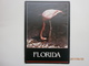 Postcard Florida's Famous Flamingo By Floridian Card Products Of Tampa My Ref B21303 - Birds