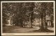 Netherlands 1930 Doorn Behind The Shelter View Picture Post Card # 139 - Doorn