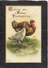 Thanksgiving Turkey And And Mother Bird(facing Right)"Wishing You"1908 - Ellen Clapsaddle Antique Postcard - Clapsaddle