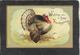 Thanksgiving Turkey(faciing Right) "Wishing You A Happy Thanksgiving"1907- Ellen Clapsaddle Signed Antique Postcard - Clapsaddle