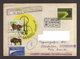 Lithuania, Cover Circulated From Druskininkai-Tegucigalpa With Stamps From WWF (Bisons), 1996 - Litouwen