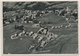 1950 - Trogen Mit Kinderdorf Pestalozzi - Trogen