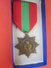 France Médaille D'honneur Du Travail Ministère Santé Publique & Population République Française La Patrie Reconnaissante - France