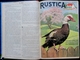RUSTICA - Album Série N° 6 - ( Année 1955  ) - Garden