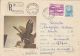 60770- GOLDEN EAGLE, BIRDS, REGISTERED COVER STATIONERY, 1971, ROMANIA - Adler & Greifvögel