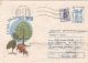 60792- COMMON HORNBEAM, TREE, COVER STATIONERY, 1993, ROMANIA - Bäume