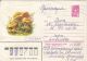 60839- MUSHROOMS, COVER STATIONERY, 1980, RUSSIA-USSR - Pilze
