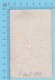 Jesus Le Bon Pasteur Enfant, La Robe Est En Tissu - Image Pieuse, Holy Card, Santini - 2 Scans - Images Religieuses