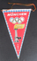 XX. OLYMPISCHE SPIELE 1972 MUNCHEN, XX. OLYMPIC GAMES 1972 MUNICH, OLD PENNANT, SPORTS FLAG - Bekleidung, Souvenirs Und Sonstige