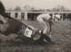 Hippisme Photo France Presse 14/1/1947 Courses à WINDSOR Chute Jockey Marshall Cheval Boccassio Propriétaire Miss Dunne - Ruitersport