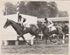 Hippisme Photo New York Times 16/5/1938 Grand Prix De BRUXELLES Cheval Antonyn Jockey Tucker Pro Holdert - PLI - Reiten