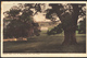 Leicestershire Postcard - North East View Of Donington Hall And Park DC32 - Other & Unclassified