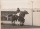 Hippisme Photo New York Times Fin Des Années 30 Cheval Au Passage Du Poteau D'arrivée - Equitation