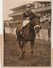 Hippisme Photo New York Times AUTEUIL 19/2/1939 Prix Clermont Tonnerre Cheval TEREK Jockey SENTIER Prop. TISSOT - Equitation