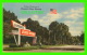 SILVER SPRINGS, FL - COLORFUL ENTRANCE TO FLORIDA'S SILVER SPRINGS - ANIMATED -  PHOTO BY MOZERT - - Silver Springs